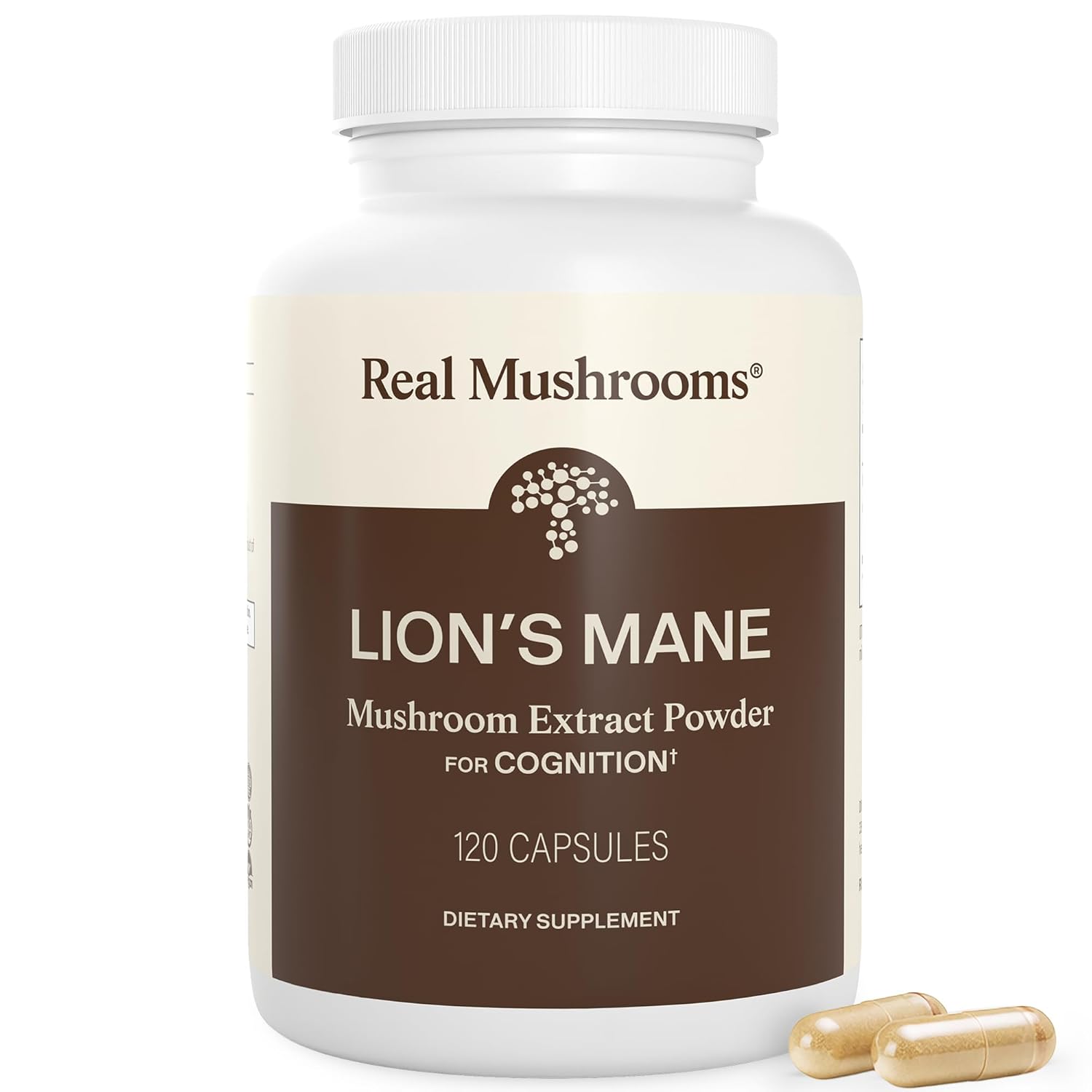 Nootropics Depot Lion's Mane 8:1 Extract