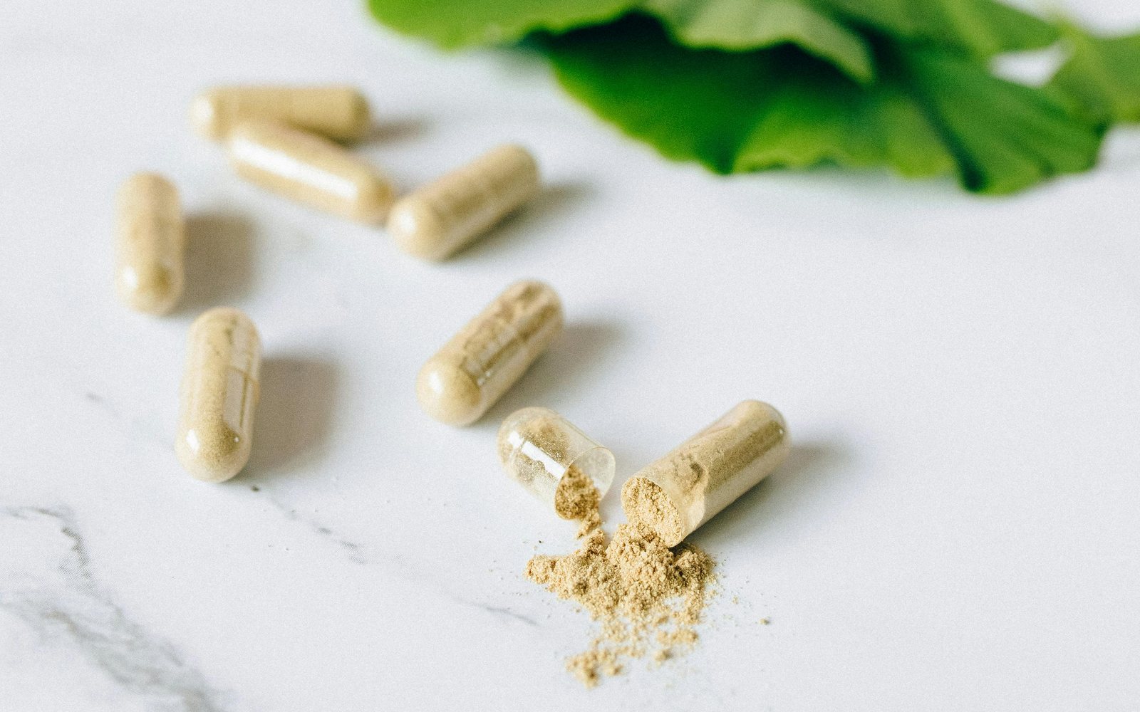 Scattered capsules, one split open with powder spilling onto a marble surface beside a ginkgo leaf